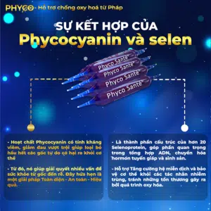 thuc-pham-bo-sung-kit-mini-phyco-sante